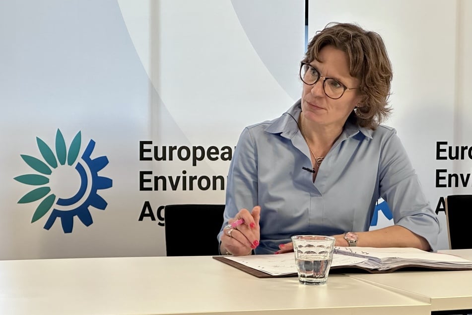 Jessika Roswall (53) ist seit Dezember 2024 die EU-Umweltkommissarin.
