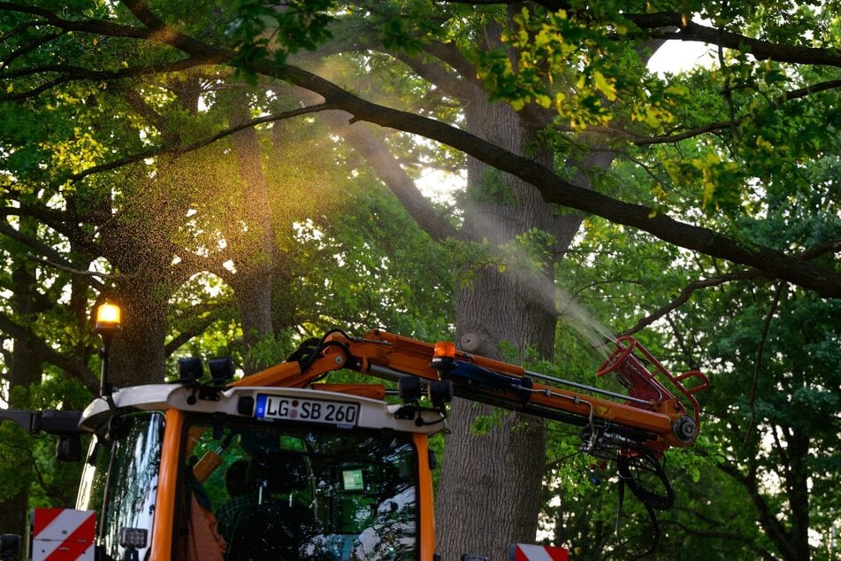 Von einem Traktor aus werden die Nematoden in einer Wasserlösung auf die befallenen Bäume gesprüht. In Norddeutschland findet die Methode schon häufiger Anwendung.