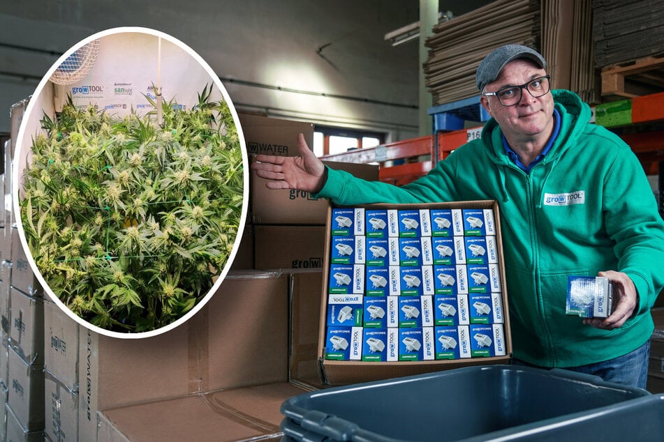"Riesen-Chance": Dresdner Unternehmer hofft auf Cannabis-Legalisierung