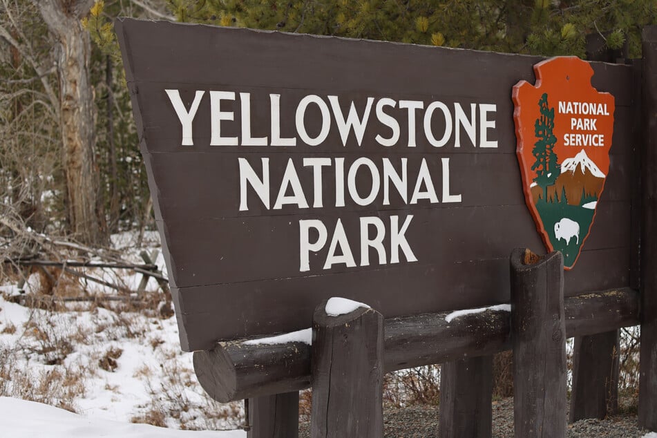 Two hikers were injured in the bear attack on Monday.
