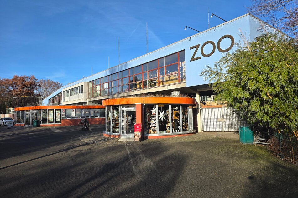 Die Sicherheitsmaßnahmen zum Schutz des Vogelbestands werden im Zoo erhöht.