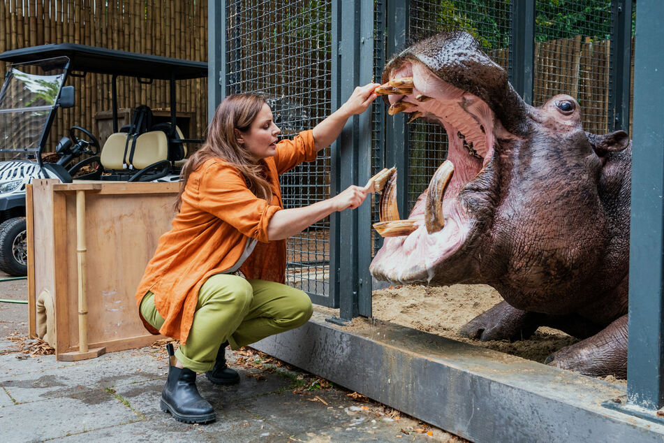 Als Serien-Tierärztin kann es auch mal vorkommen, dass man einem Flusspferd die Zähne putzen muss.
