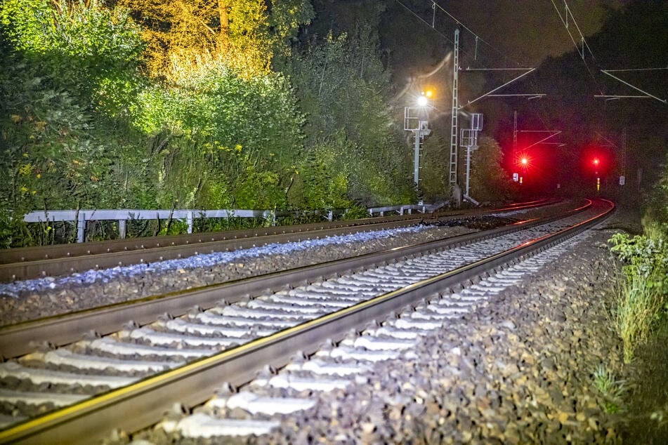 Für die Dauer des Einsatzes kam der Bahnverkehr zum Erliegen.