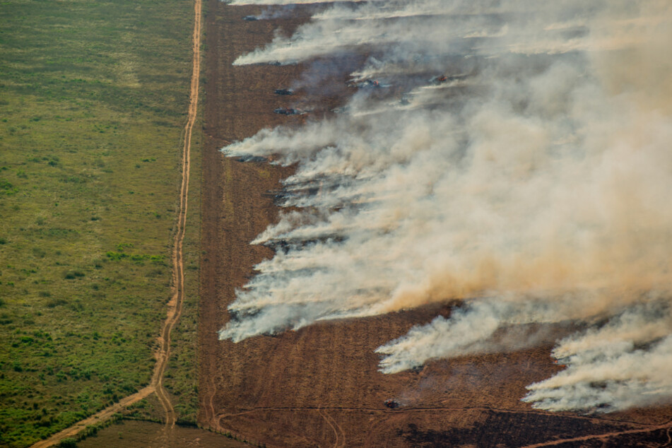 Auf diesem von Greenpeace Brasilien zur Verfügung gestellten Bild ist eine brennende Waldfläche in Nova Maringa zu sehen. Jedes Jahr überfliegt Greenpeace Brasilien das Amazonasgebiet, um die sich aufbauende Entwaldung und die Waldbrände zu überwachen.