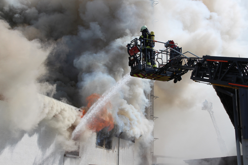 Der Großbrand mit Millionenschaden in einem Holzbetrieb in Wahlhausen ist laut Polizei nicht vorsätzlich gelegt worden.