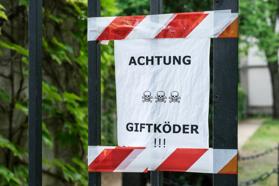 Hundebesitzer aufgepasst: Giftköder in Zwickau verteilt