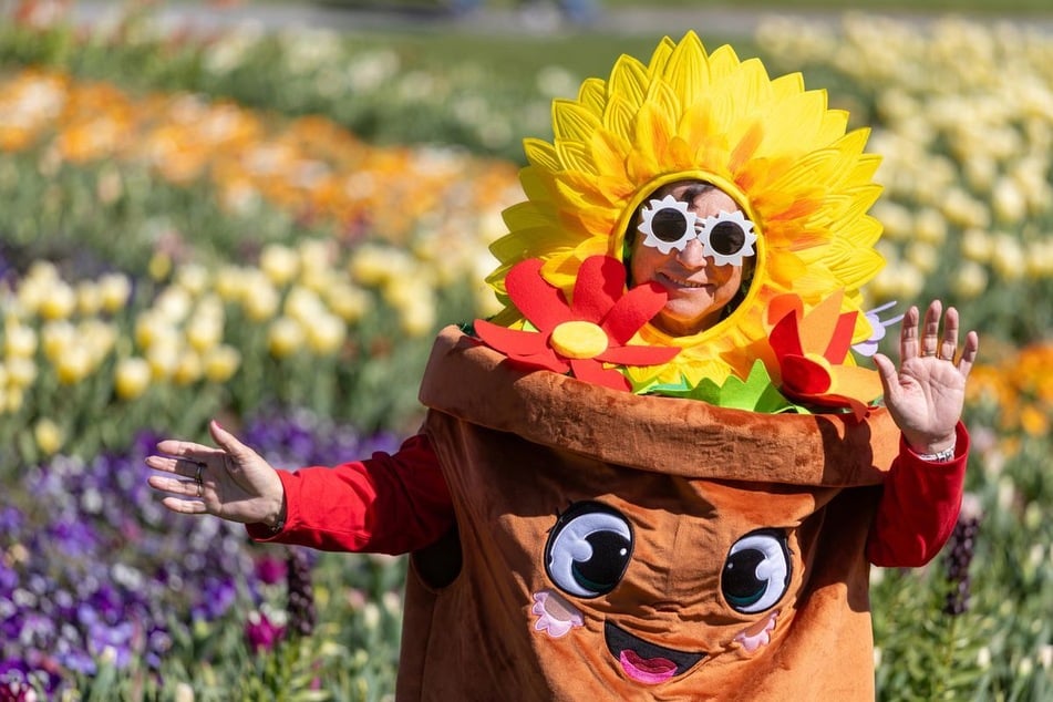 Die Organisatoren der Landesgartenschau in Leinefelde-Worbis gehen von rund 300.000 Besuchern aus, die sich die Schau im Eichsfeld angesehen haben. (Archivfoto)