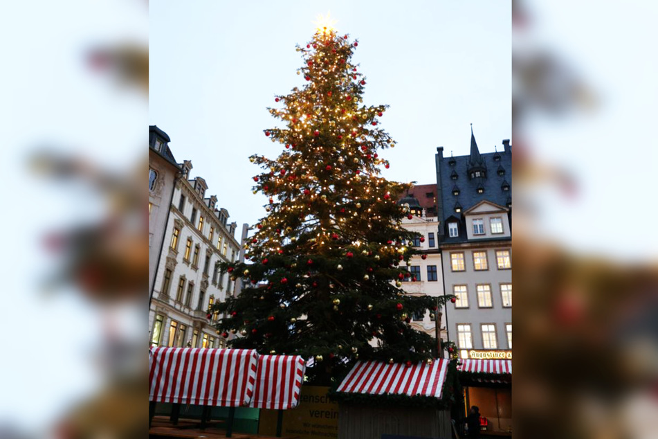 Am 28. November um 17 Uhr wird der Weihnachtsbaum feierlich erleuchtet.