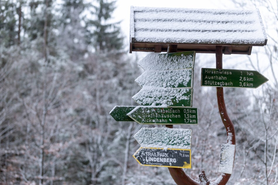 In der kommenden Woche könnte im Thüringer Wald Schnee fallen. (Archivbild)