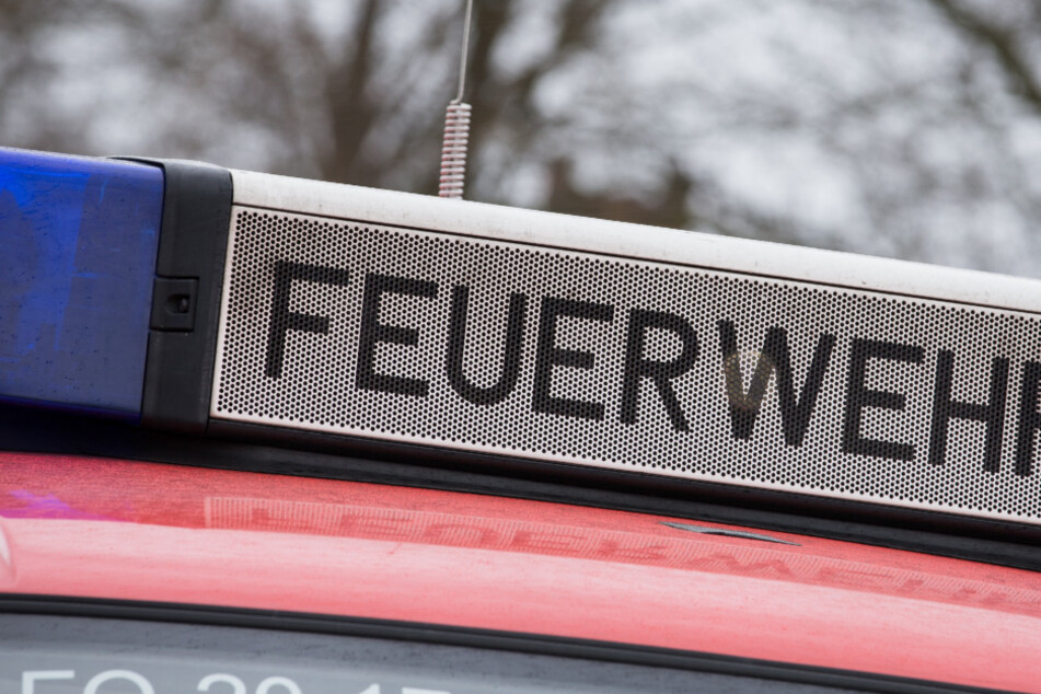 Mindestens sieben Pferde sind den Flammen zum Opfer gefallen.