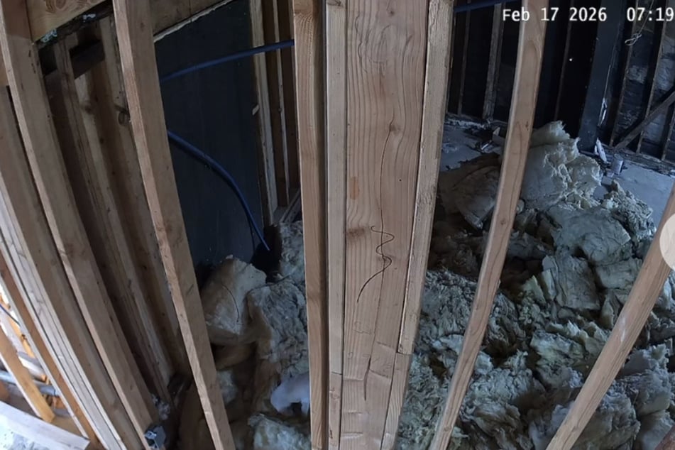 Neue Besitzer checken nach Hauskauf Überwachungskamera und wissen: Sie sind nicht allein