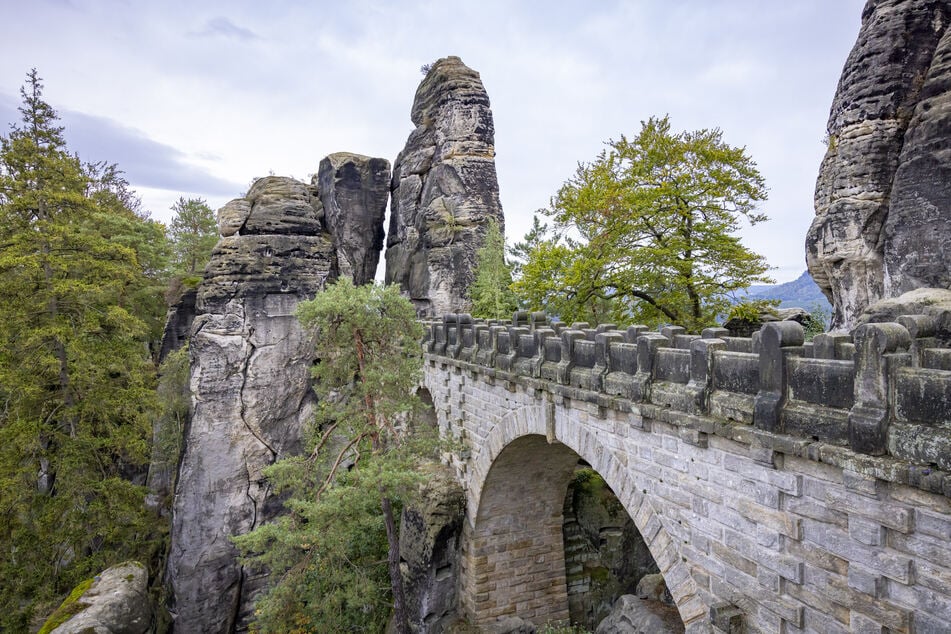 An der Basteibrücke geschah am Donnerstag ein tierisches Unglück.