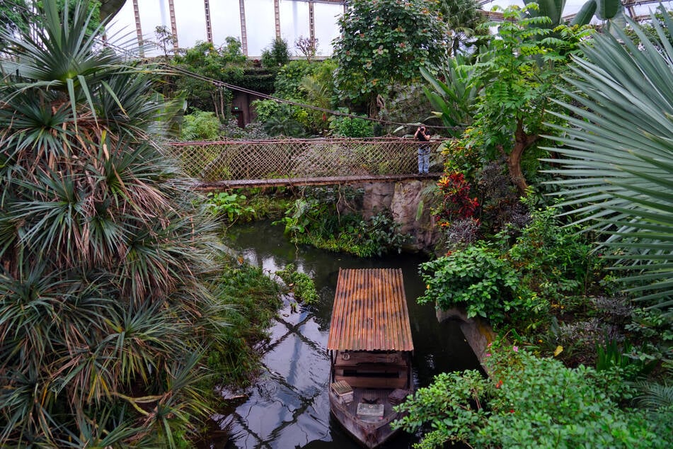 Jährlich darf sich der Zoo über etwa 2000 Tierpatenschaften freuen.