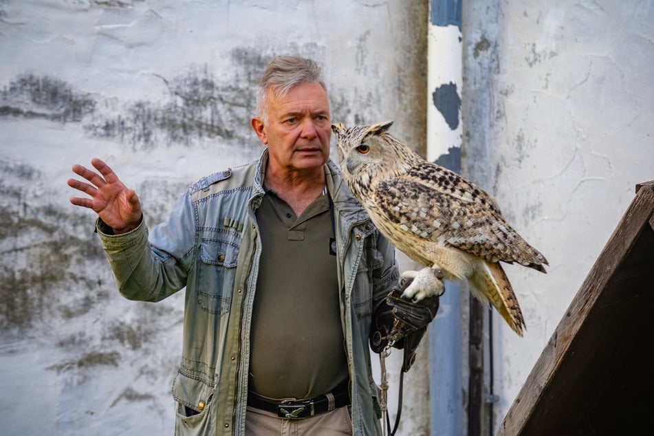 Dydymski zeigt sich entsetzt: Die Leine des sibirischen Uhus Wanja war ebenfalls aufgeknotet worden.