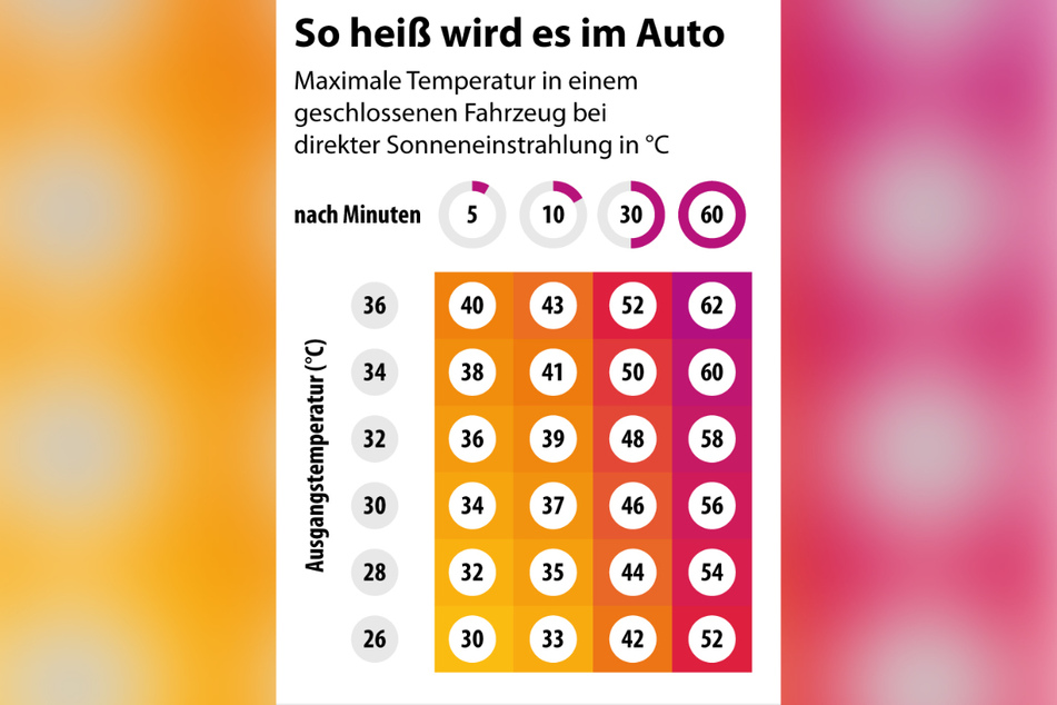 Im Sommer kann es im Auto gern über 50 Grad heiß werden.