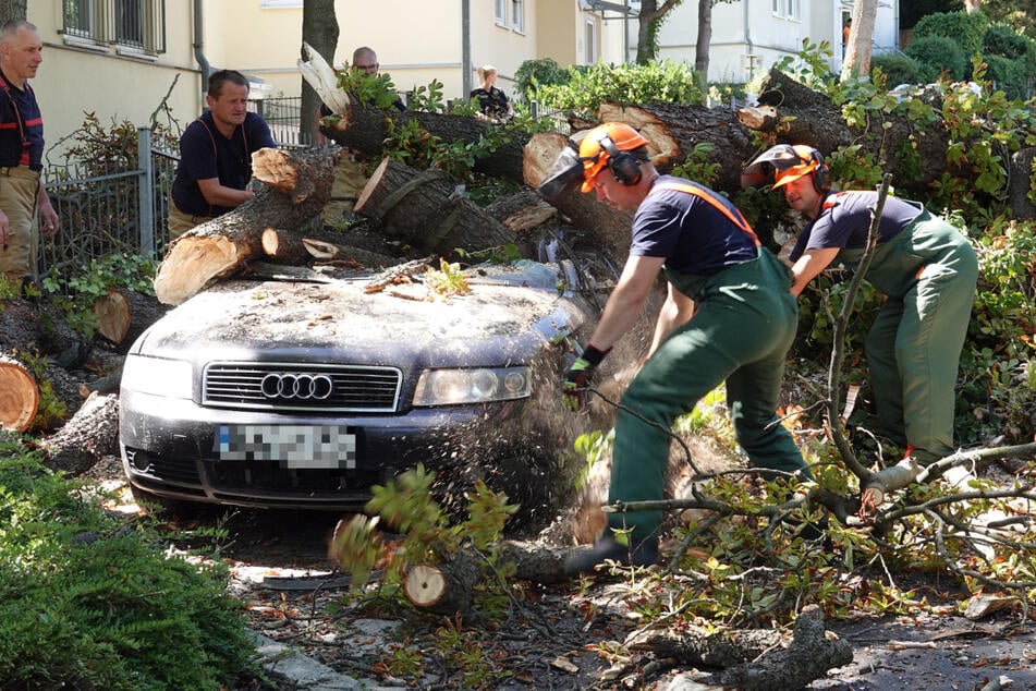 Der umgestürzte Baum hatte einen Audi unter sich begraben.