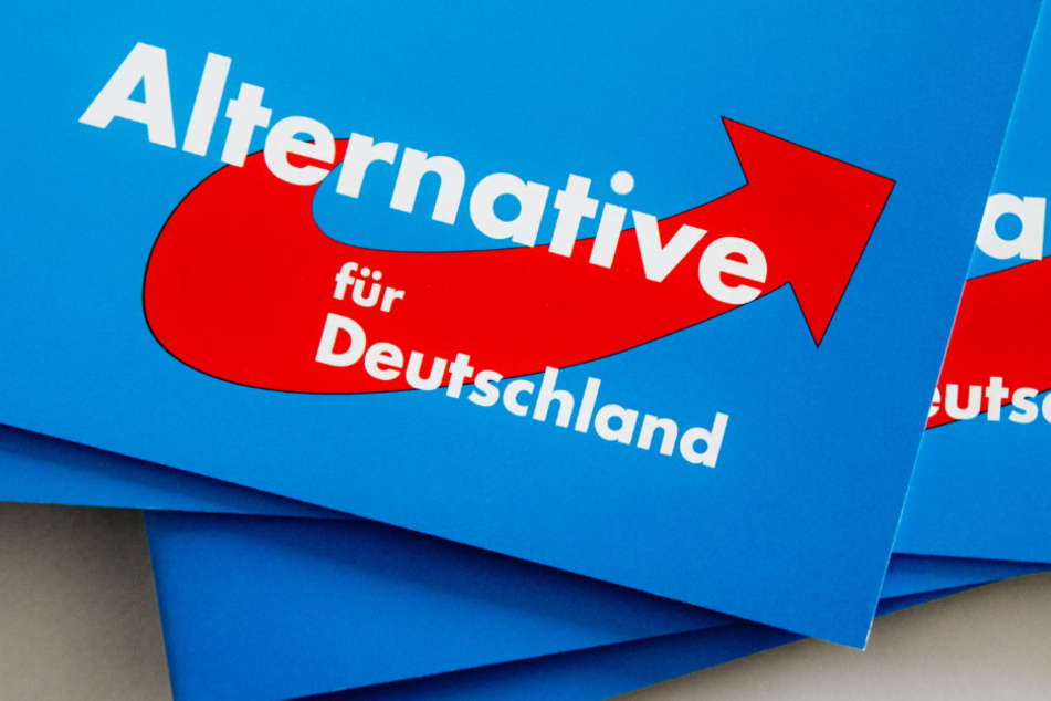 Nach internen Querelen: AfD erleidet Einbruch im Osten Deutschlands