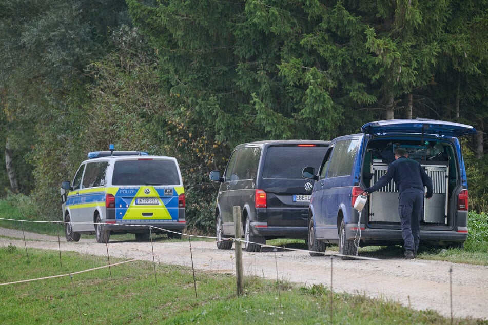 Die tagelange Suche der Polizei nach einer Raubkatze im Notzinger Moos verlief ohne Ergebnis.