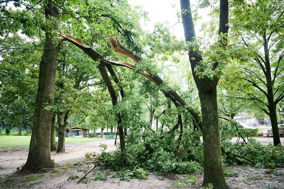 In Sachsen-Anhalt gelten am Donnerstag in mehreren Landkreisen Unwetterwarnungen. (Symbolbild)