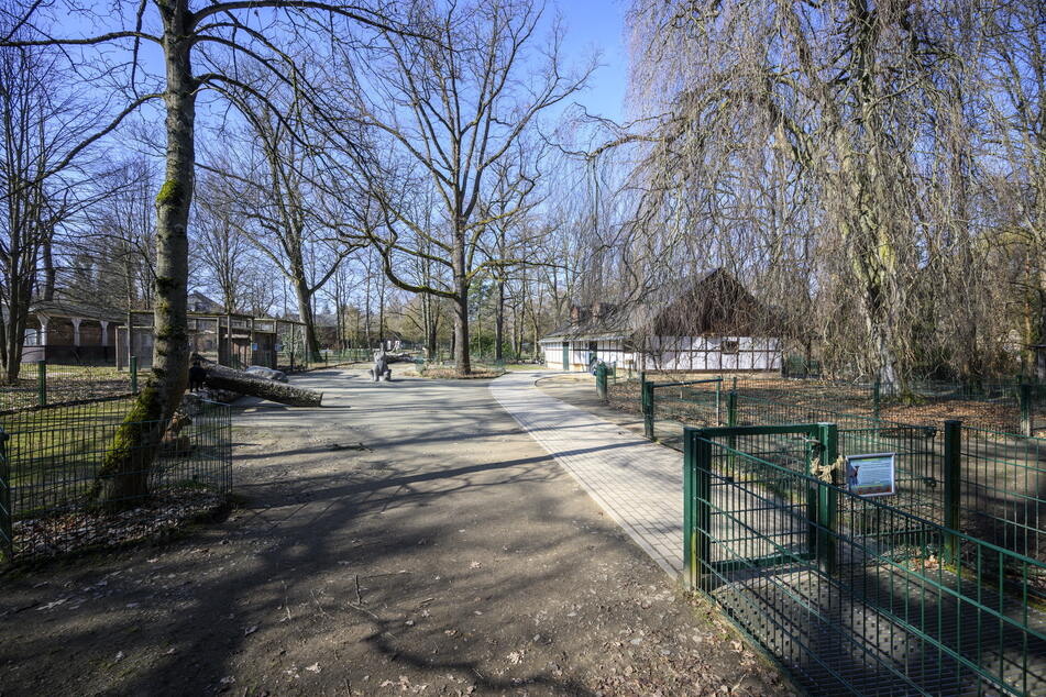 Im Tierpark sind große Umbaumaßnahmen geplant.