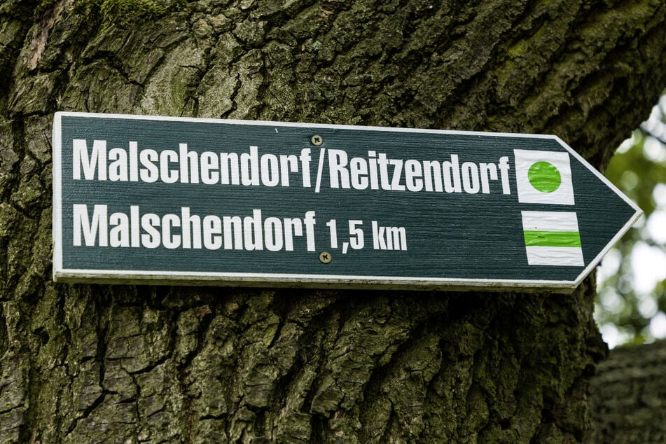 Rund um Pillnitz gibt es zahlreiche ausgewiesene Wanderwege.