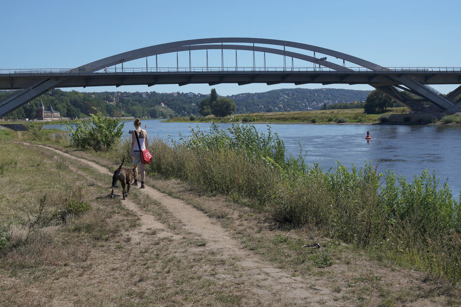 Dresden: Waldschlößchen-Brücke gilt selbst nach Jahren immer noch als Schwarzbau