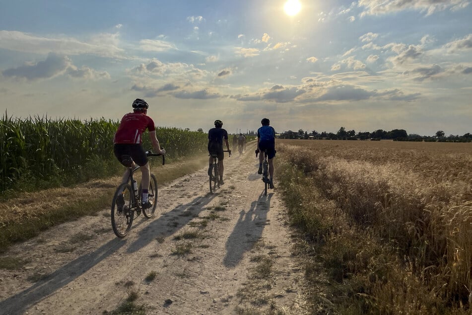 Warum greifen immer mehr Radfans in Sachsen zum Gravelbike? Die Mischung aus Alltagstauglichkeit und Abenteuer spricht eine wachsende Nutzergruppe an.