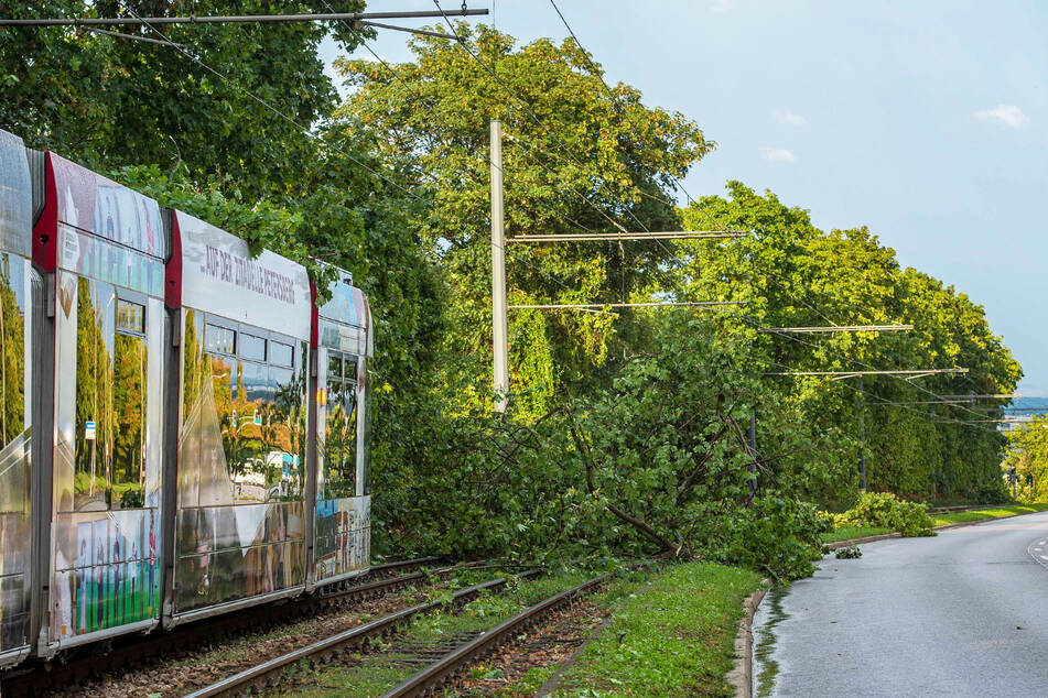 In Erfurt kam der Großteil des ÖPNV zum Erliegen, da das Unwetter große Schäden anrichtete.