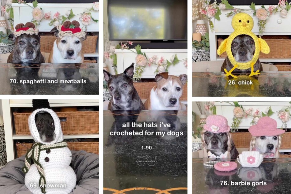 Dogs wearing crocheted hats are everything you never knew you needed