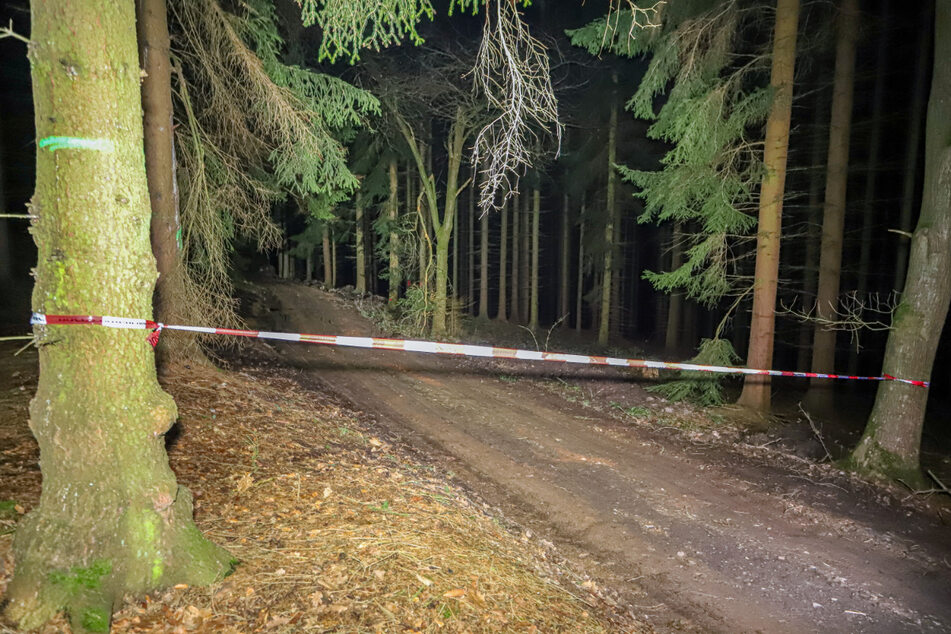 In diesem Wald zwischen Einsiedel und Dittersdorf fanden Forstarbeiter eine Bombe.