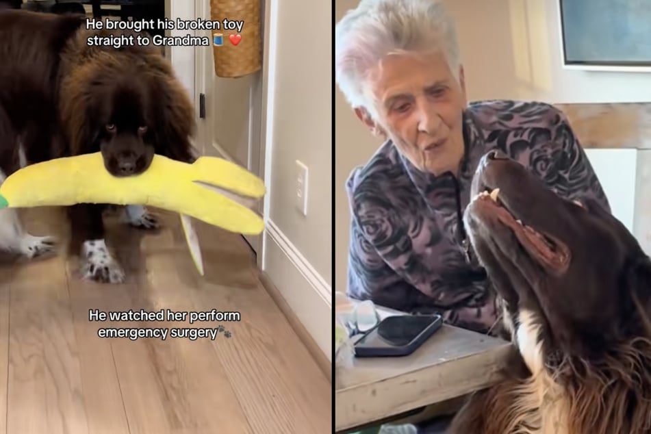 Die beiden haben schon lange eine ganz besondere Bindung.