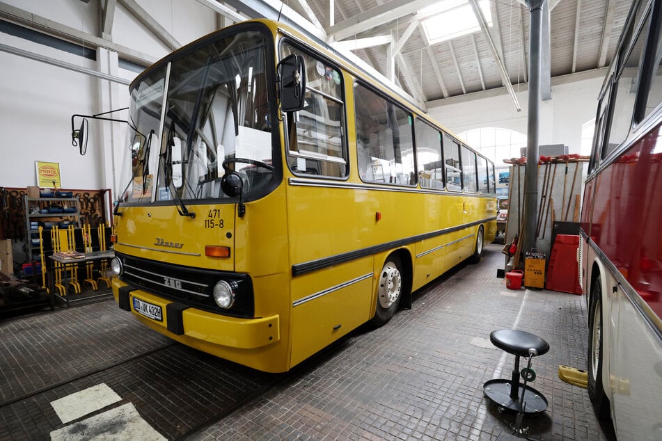 Den "Ikarus 260" gibt es beim Verein "Historische Kraftfahrzeuge des Dresdner Nahverkehrs" zu bestaunen.