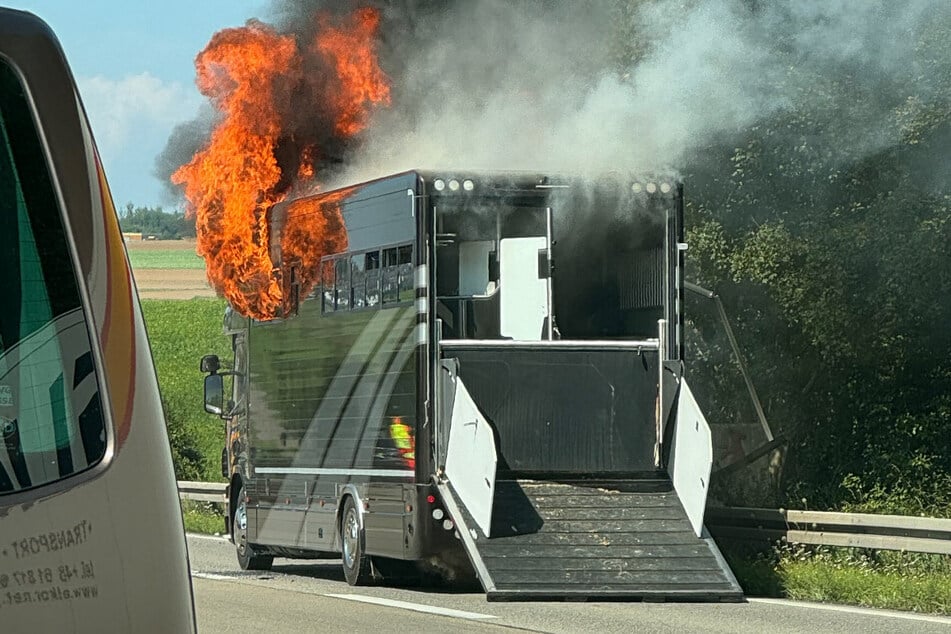 Durch sein schnelles Handeln konnte der Fahrer die Pferde in dem Anhänger rechtzeitig vor den Flammen retten.