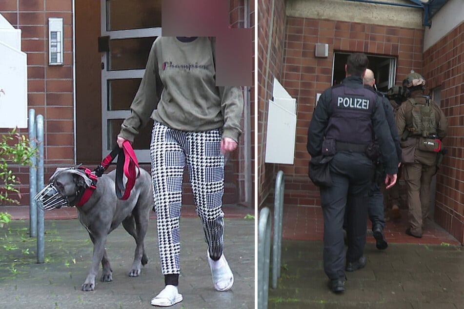 Ordnungsamt will gefährlichen Hund abholen, dann rückt das SEK an