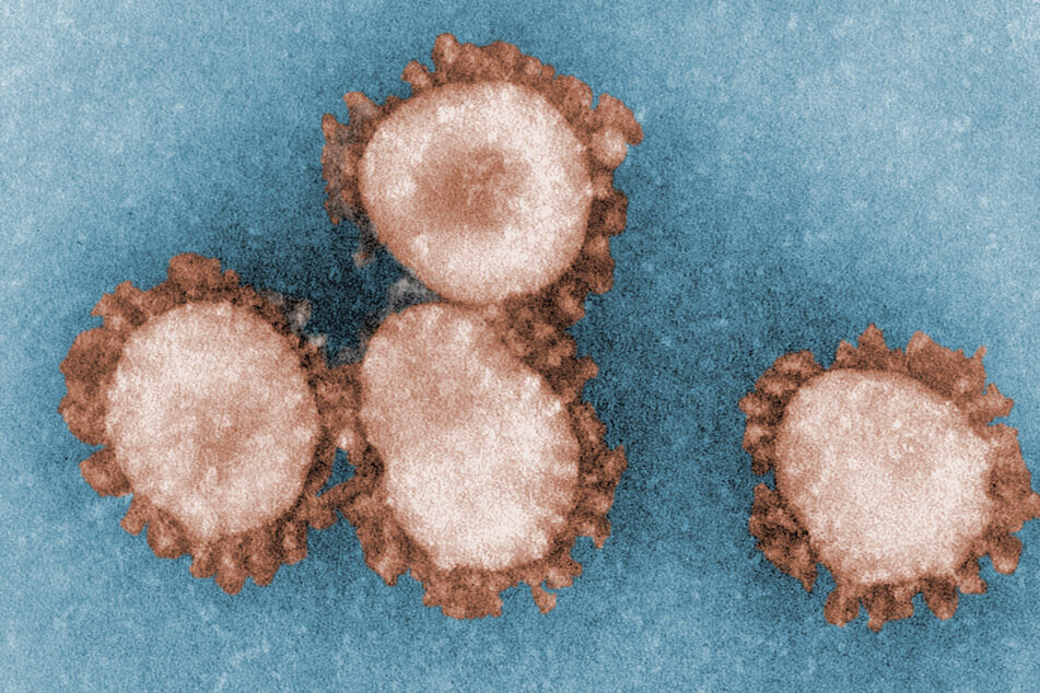Um die Bekämpfung des Coronavirus rechtssicher zu machen, soll der Paragraf 28a eingeführt werden. Doch es gibt Kritik.
