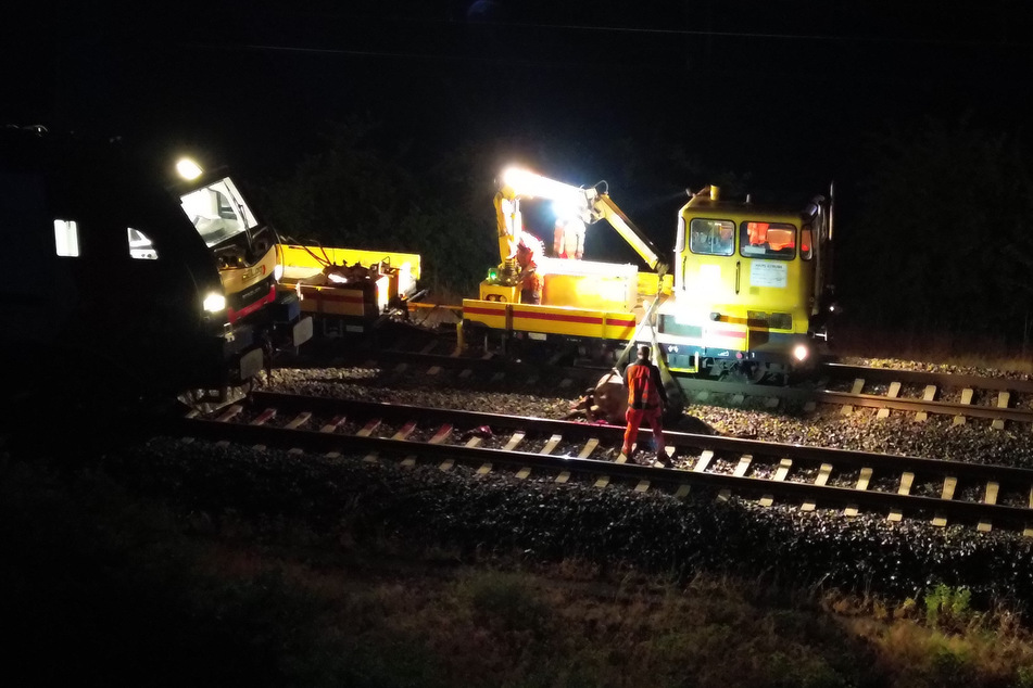 Güterzug erfasst drei Pferde auf Bahngleisen: Tiere sterben noch vor Ort!
