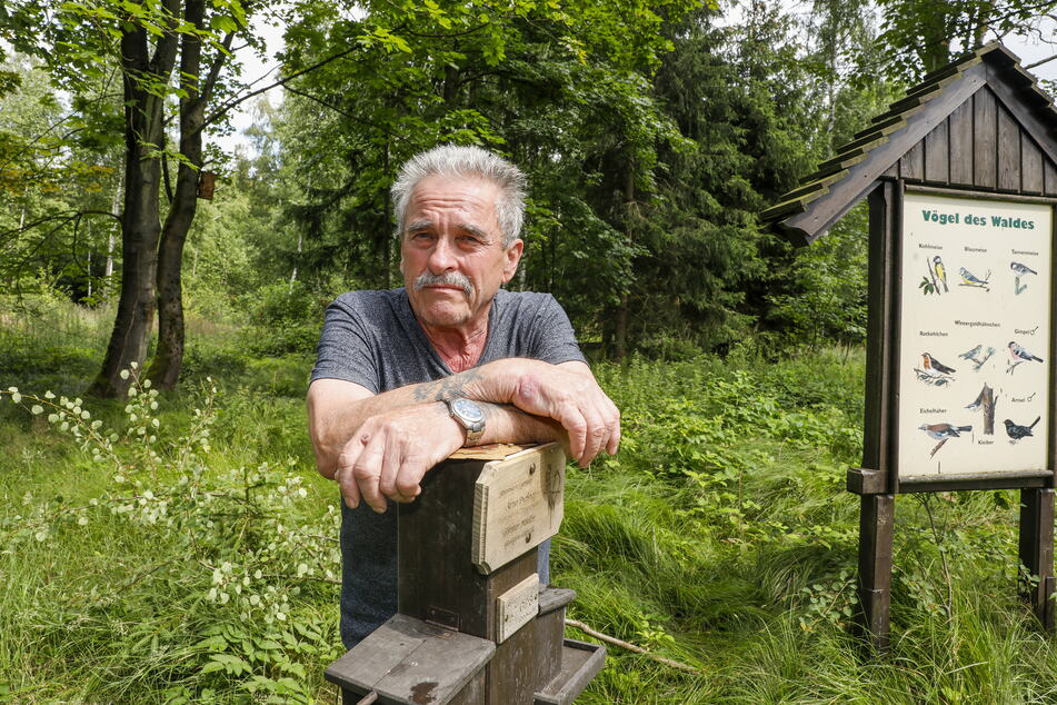 Schon zum zweiten Mal blieb Arno Dießner (74) nur der Pfahl des Vogelhauses.