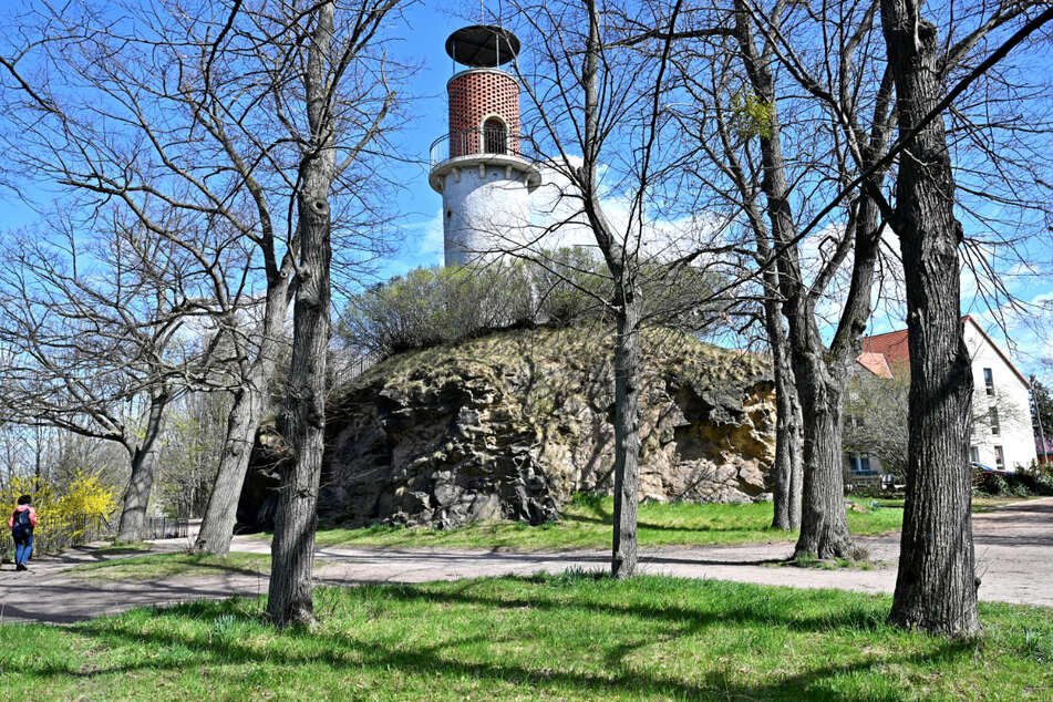 Geologisches Naturdenkmal: Vor Millionen von Jahren entstand der "Hohe Stein" als Brandungsklippe des damaligen Kreidemeeres.