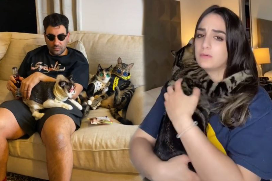 Immer für einen Spaß zu haben: Kareem, Fifi und ihre Katzen.