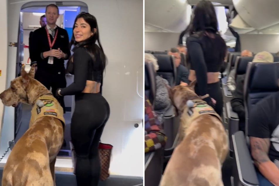 Mit ihrer Deutschen Dogge quetscht sich die Influencerin durch den Flugzeuggang.