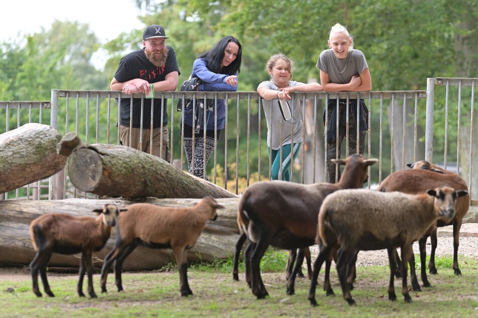 Der Tierpark Hirschfeld lädt zum Familienausflug ein.