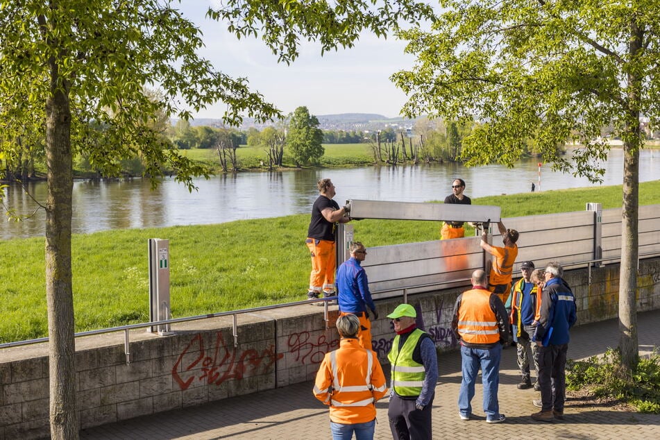 Zwei Mann für ein Element Flutmauer. In aller Ruhe wurde in Dresden-Pieschen der Ernstfall geprobt.