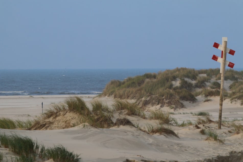 Angst vor Sturmfluten: Dünen auf Nordseeinsel werden verstärkt