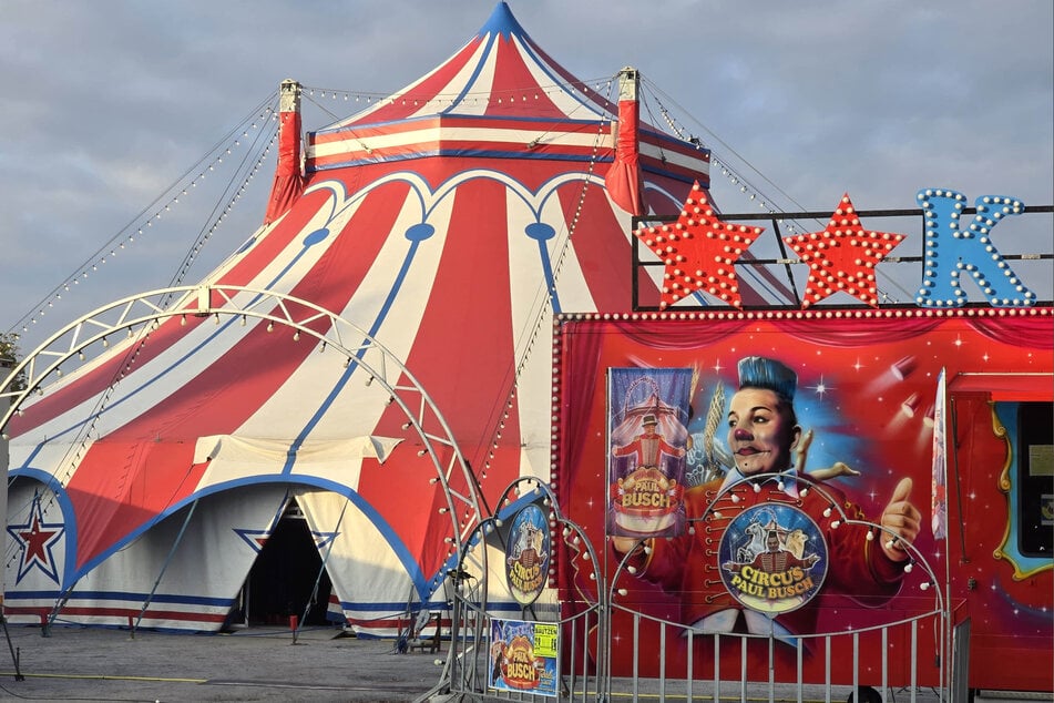 Am Tag nach dem schlimmen Unglück sitzt der Schock am Circus Paul Busch tief.