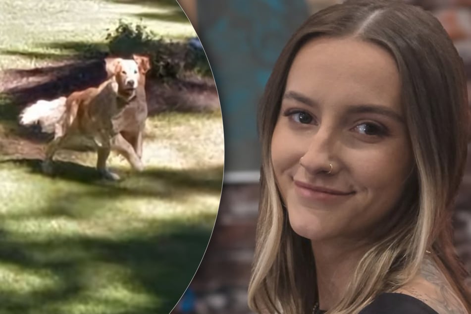 Becky sucht ihr Elternhaus auf Google Maps: Was sie dort entdeckt, rührt sie zu Tränen