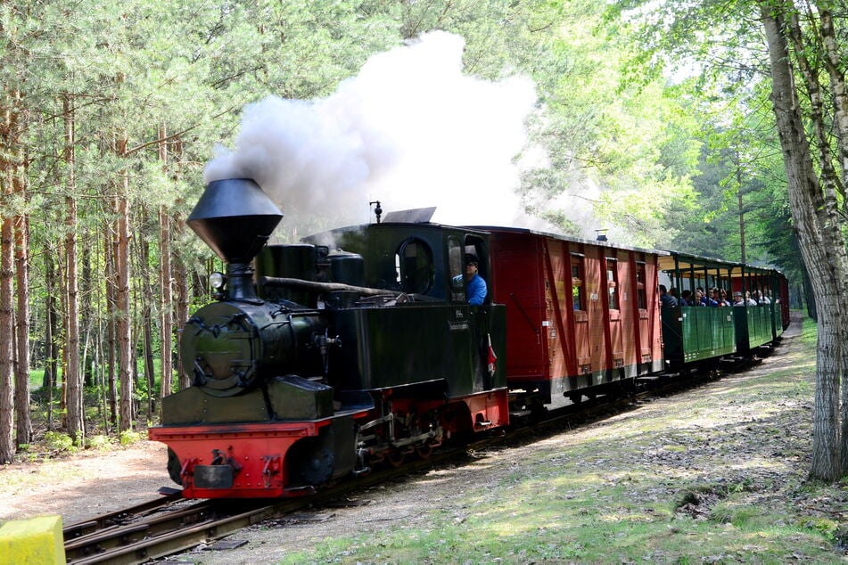 Neben den Diesel-Lokomotiven bringt sonst auch ein Sonderzug der Waldeisenbahn Muskau Fahrgäste von A nach B. Am kommenden Wochenende muss dieser jedoch für die schaurig-geschmückten Schienenfahrzeugen weichen. (Archivfoto)