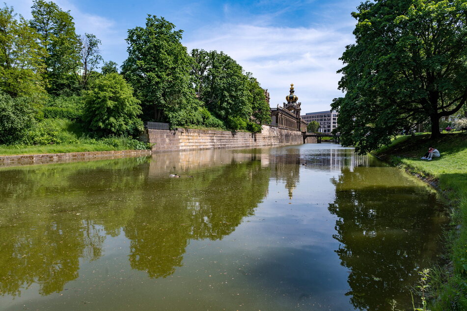 Genug Platz für ein 200-Meter-Duell zweier Kanuten wäre auf dem Zwingerteich vorhanden.