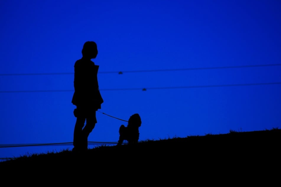 Besonders bei angstbesetzten Situationen sind Routinen und Unterstützung für Hunde wichtig.