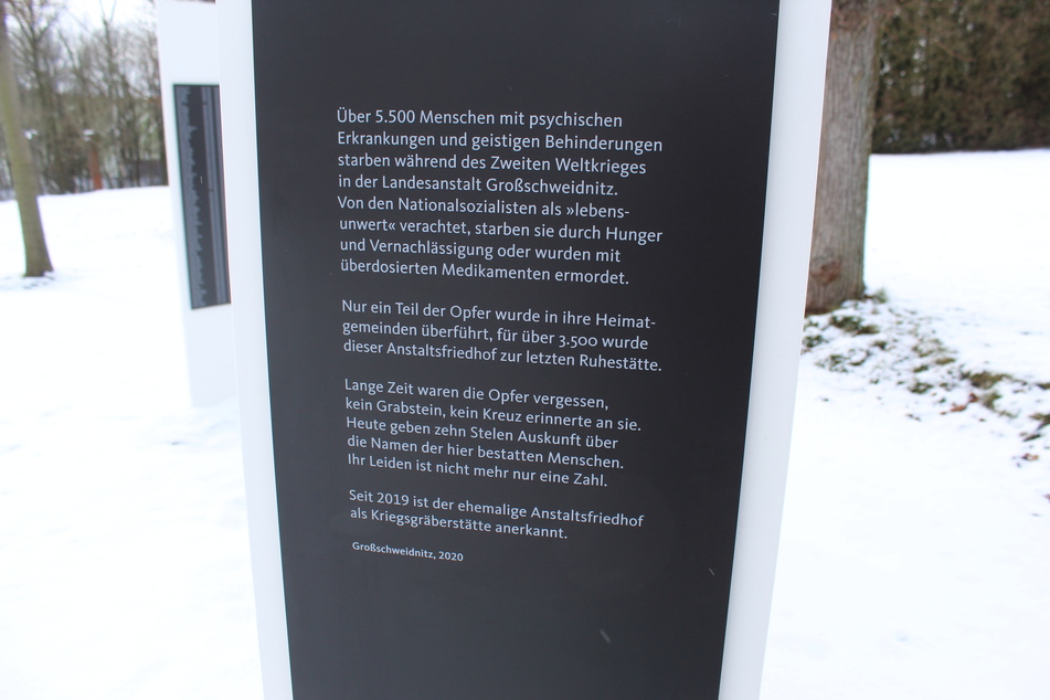 Eine Stele mit Informationen zu den Euthanasie-Opfern.