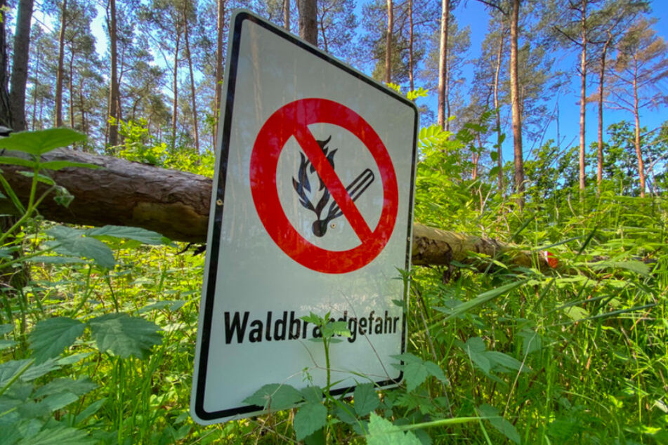 In Teilen Bayerns gilt akute Waldbrandgefahr.